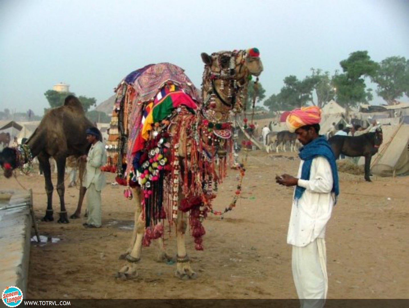 Pushkar Camel Fair