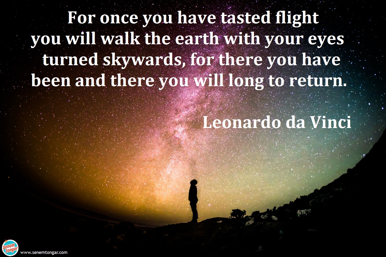 for once you have_leonardo da vinci