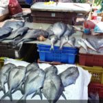 Food Market, Valparaiso